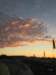 image0043_small.jpg