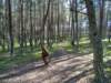 dsc00167_small.jpg