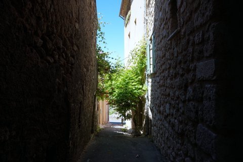 dsc02006.jpg