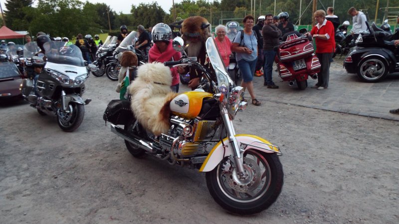 dscf6530.jpg