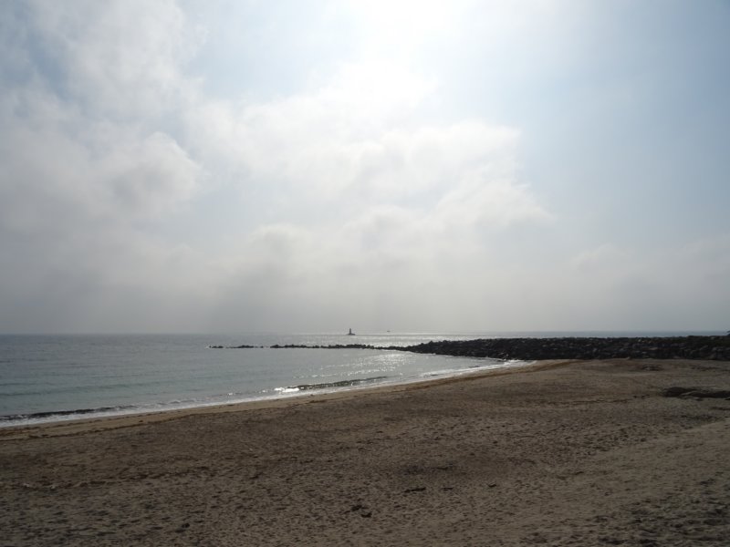 dsc02766.jpg