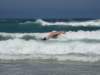 dsc02833_small.jpg