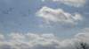 photo15_small.jpg