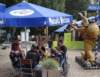 dsc00766_small.jpg